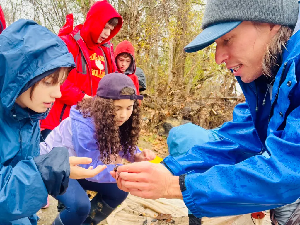 STEM in Nature Nov 2024-1