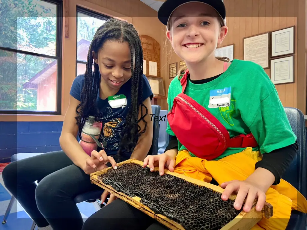 STEM in Nature 2025-26-2