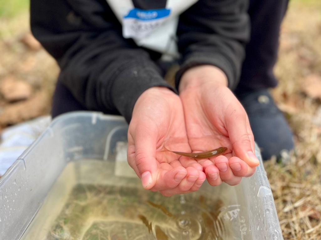 STEM in Nature 2025-26-16