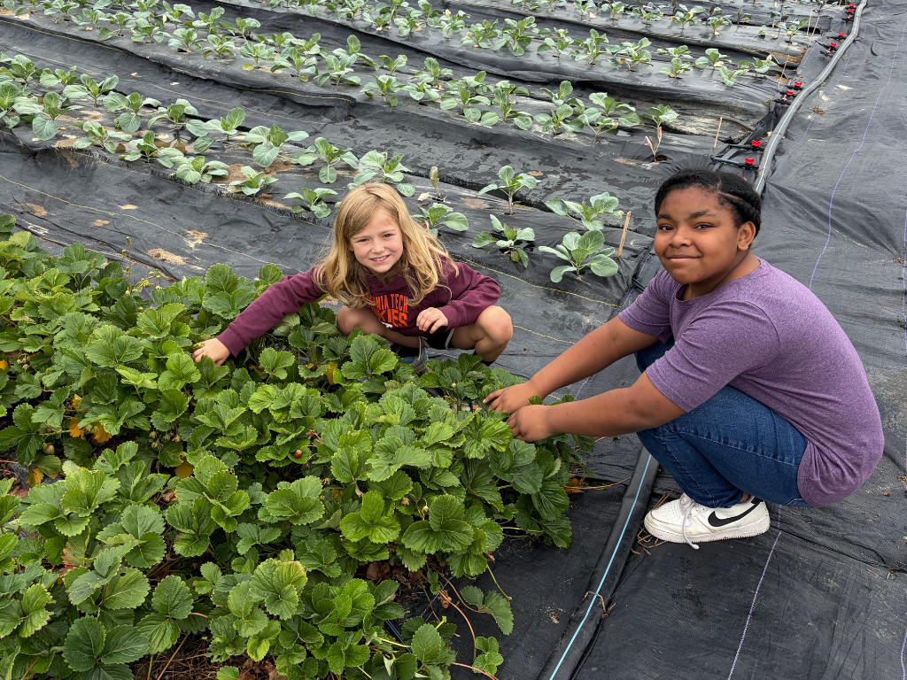 Shalom Farms Spring 2026-1