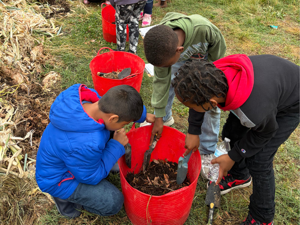 Shalom Farms Spring 2026-2