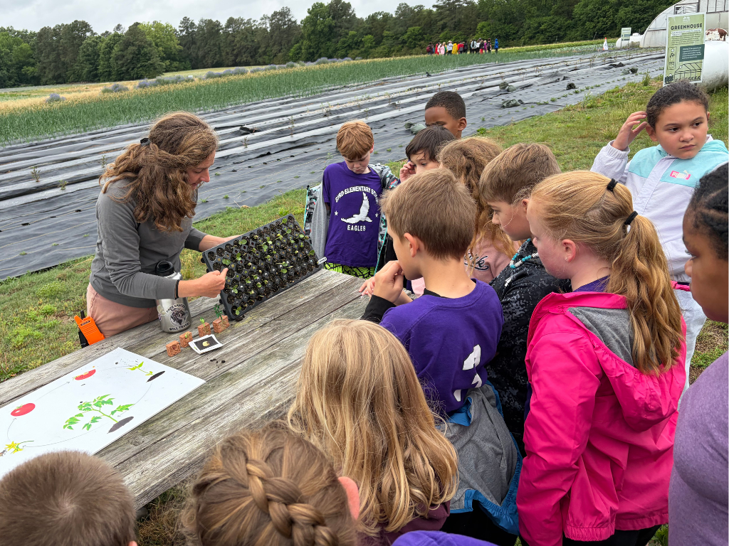 Shalom Farms Spring 2026-3